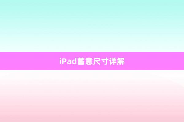 iPad蓄意尺寸详解