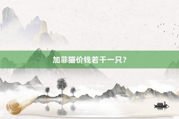 加菲猫价钱若干一只?