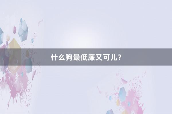 什么狗最低廉又可儿？