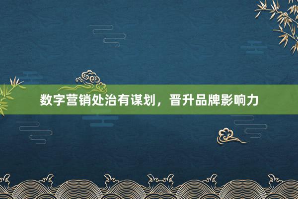 数字营销处治有谋划，晋升品牌影响力